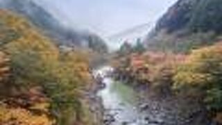 紅葉が綺麗でした。