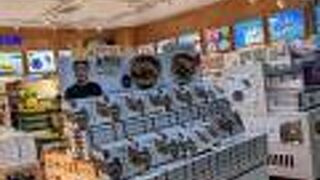 ANAフェスタ 那覇ロビー1号店