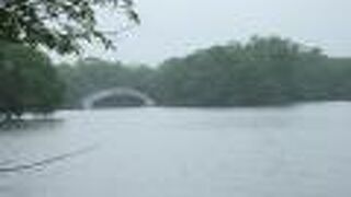 （再訪）霧で幻想的でした