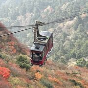 山頂の紅葉はロープウェイからが一番きれいに見えました。