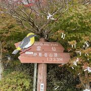 天気がいい日は阿蘇まで見えるそうです。