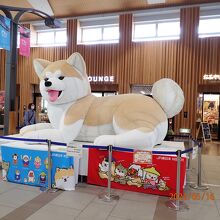 通路の秋田犬が大きい