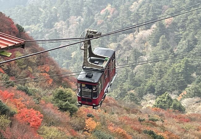 山頂の紅葉はロープウェイからが一番きれいに見えました。