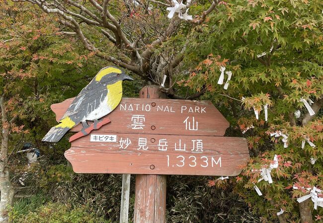 天気がいい日は阿蘇まで見えるそうです。