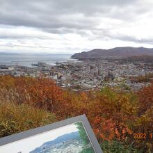 小樽市内は木々が邪魔してイマイチでした。