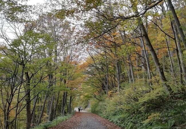 谷川岳沢めぐりコース