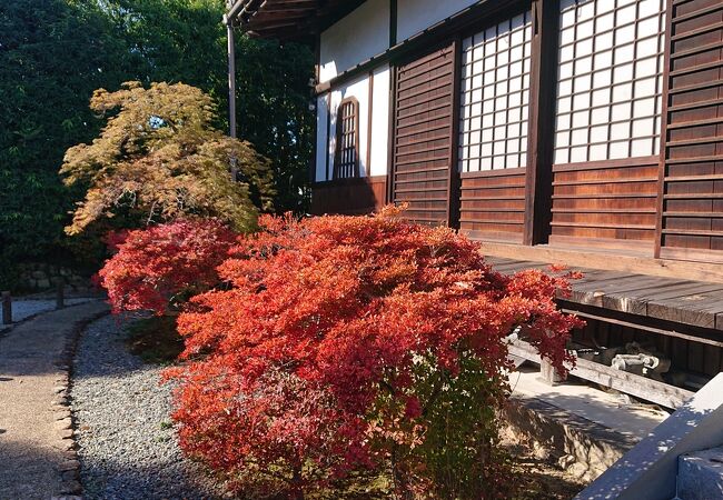 長良川国際会議場近くに立地するお寺