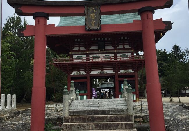 飯野八幡宮流鏑馬神事