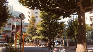 竹が何本か立つ