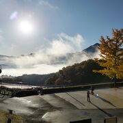 紅葉で盛り上がる公園