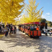 公園内を走るスカイトレインには多くの人が乗車