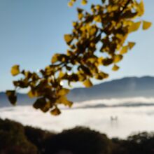 朝方は市内の雲海を一望