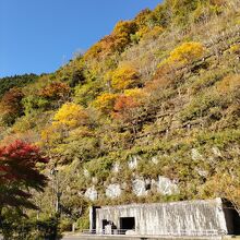 ダムの周りは見事な紅葉が見られる