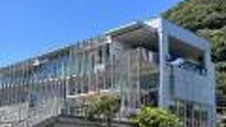 道の駅「開国下田みなと」の中に入っている