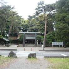 裏参道通りの西に護国神社の本社殿、鳥居や石柱は、大宮公園内に