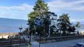 展望テラスの有る道の駅