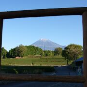 雄大な富士と広がる茶畑、これぞＴＨＥ静岡です！