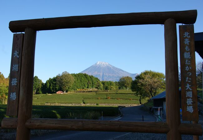 雄大な富士と広がる茶畑、これぞＴＨＥ静岡です！