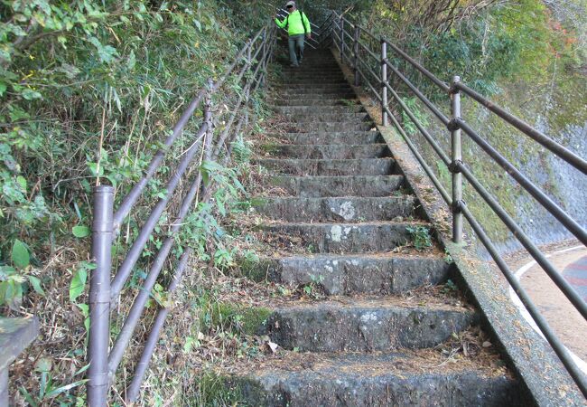  屏風山登山・箱根旧道歩き(5)で橿木坂を通りました