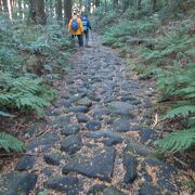  屏風山登山・箱根旧道歩き(5)で西海子坂を通りました