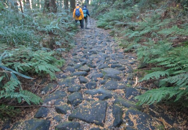  屏風山登山・箱根旧道歩き(5)で西海子坂を通りました