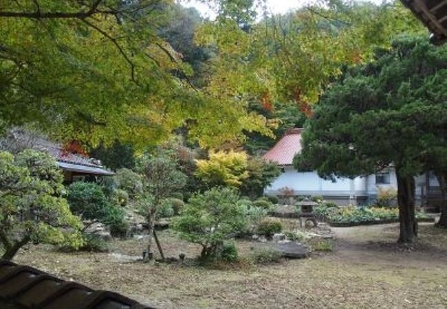 特に紅葉が美しい庭園