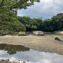 干潮だと全然水が無くなります