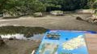 厳原の街から、歩いて行きましたが３０分くらいかかります。