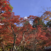 紅葉がとても綺麗