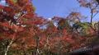 紅葉がとても綺麗