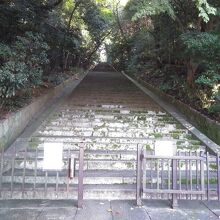 この階段を登ります