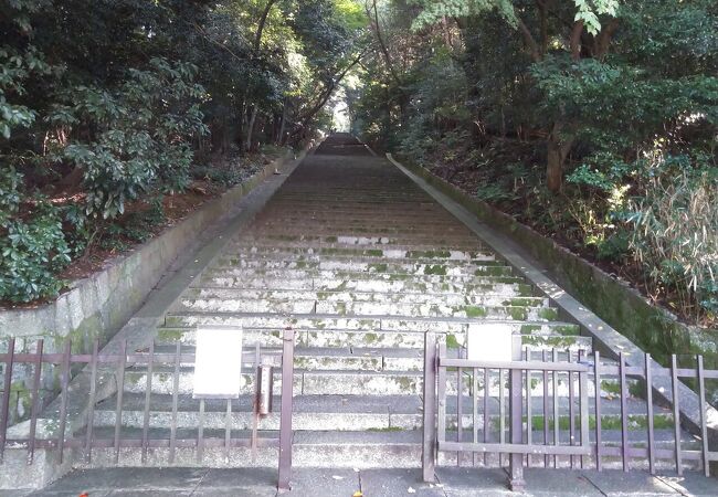 豊国廟からの清水寺は一見の価値あり