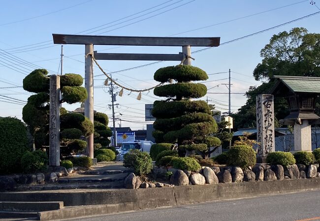 追分の湧水