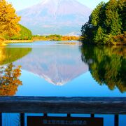 湖越しの富士の絶景ポイントは休暇村前