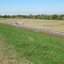 江戸川河川敷野球場