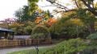 秋も綺麗な公園