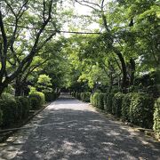 明智光秀と関りが深い西教寺の庭園