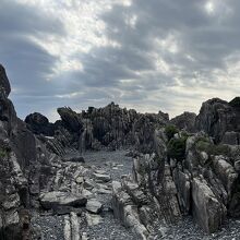 こんな巨岩が海岸にあります。