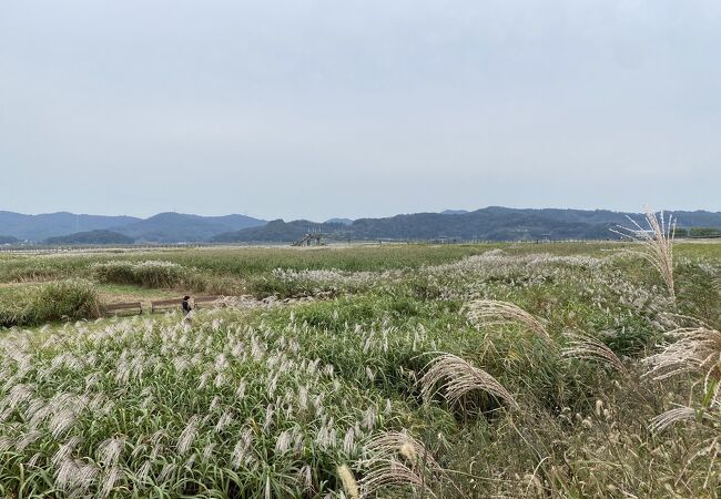 新城里葦原