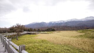 日本が世界に誇る観光地の1つであろう「知床」。気軽に知床を味わえる「高架歩道」と、レクチャーを受けて歩く外歩道では見える景色は全く異なります。