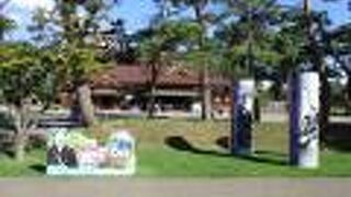 おもしろい顔出し看板がありました