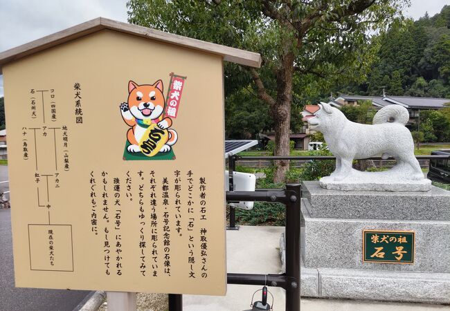 日本犬「柴犬」のルーツ