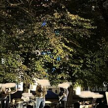 パフォーマンスステージ