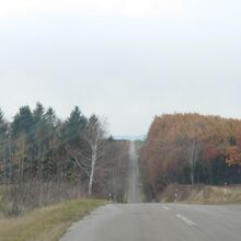 周囲の道路には、このようなジェットコースター的な道が沢山。