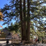 パワーを感じる神社です