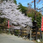 参道の桜が出迎えてくれる御髪神社