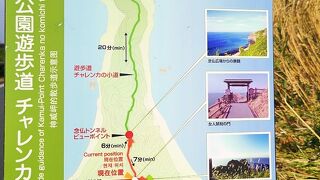 なるほど～風強し　神威岬で　“風に吹かれてシャコタンブルー　”を体験