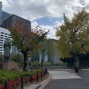 春は桜、秋は銀杏