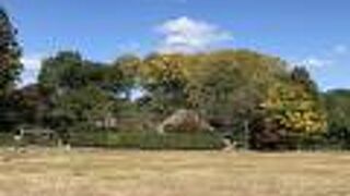 松尾芭蕉の弟子の別荘