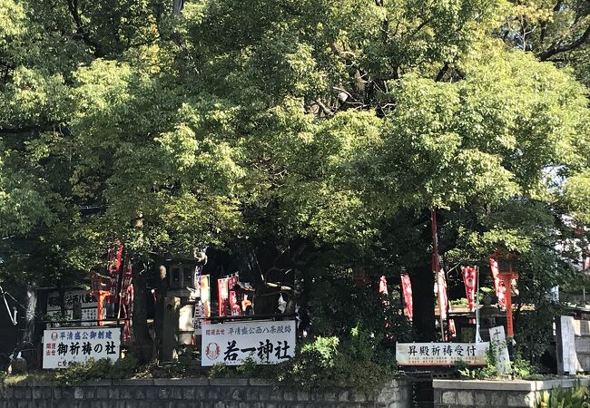 平清盛手植えの大楠はご神木